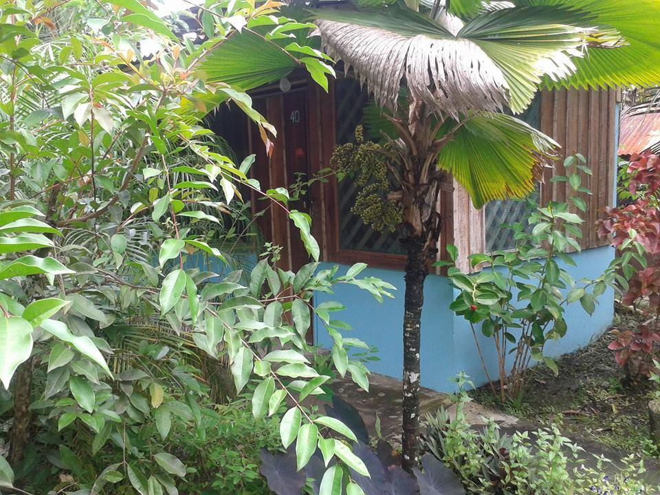 Hotel Puerto Viejo Puerto Viejo de Talamanca Eksteriør bilde